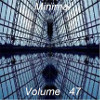 Minimal Volume 47